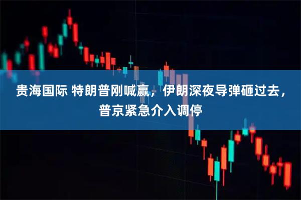 贵海国际 特朗普刚喊赢，伊朗深夜导弹砸过去，普京紧急介入调停