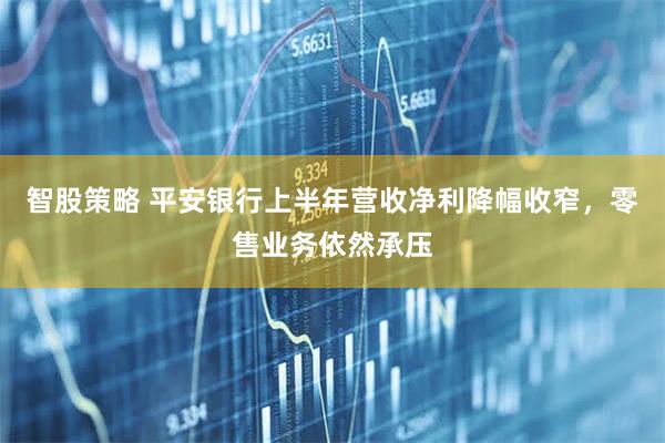 智股策略 平安银行上半年营收净利降幅收窄，零售业务依然承压